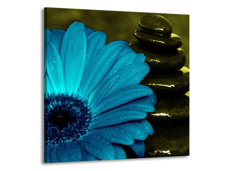 Canvas schilderij Bloem | Blauw, Zwart, Groen | 70x70cm 1Luik