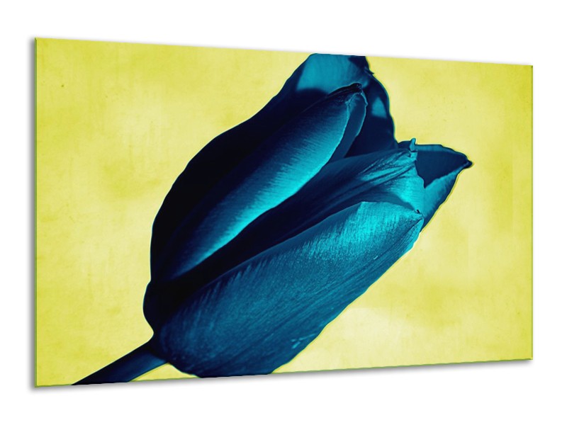 Canvas schilderij Tulp | Blauw, Zwart, Groen | 120x70cm 1Luik