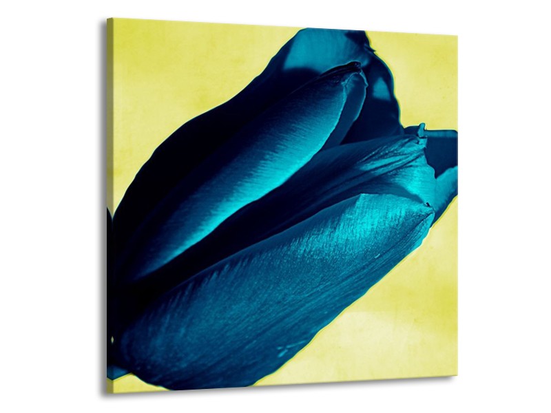 Canvas schilderij Tulp | Blauw, Zwart, Groen | 70x70cm 1Luik