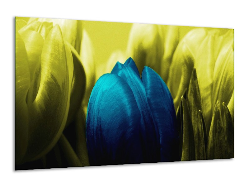 Canvas schilderij Tulp | Blauw, Zwart, Groen | 120x70cm 1Luik