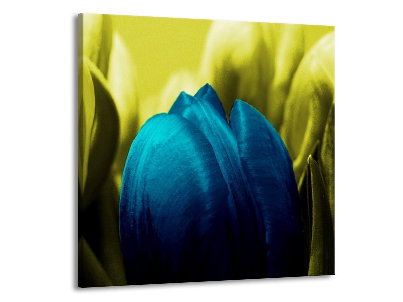 Canvas schilderij Tulp | Blauw, Zwart, Groen | 70x70cm 1Luik