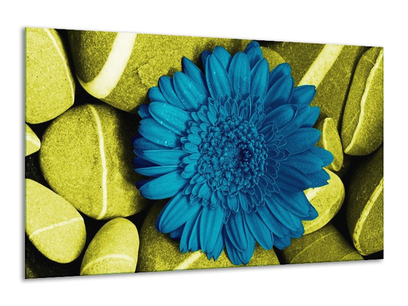 Canvas schilderij Bloem | Blauw, Zwart, Groen | 120x70cm 1Luik