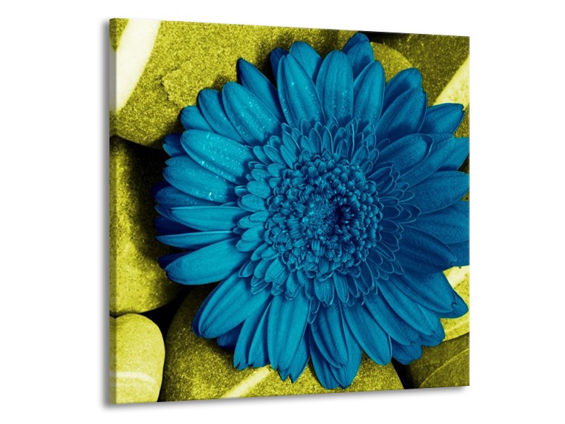 Canvas schilderij Bloem | Blauw, Zwart, Groen | 70x70cm 1Luik