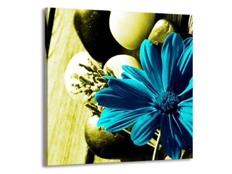 Canvas schilderij Bloem | Blauw, Zwart, Groen | 70x70cm 1Luik