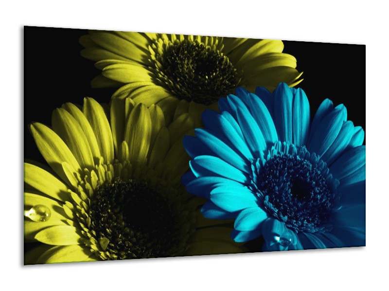 Canvas schilderij Bloem | Blauw, Zwart, Groen | 120x70cm 1Luik