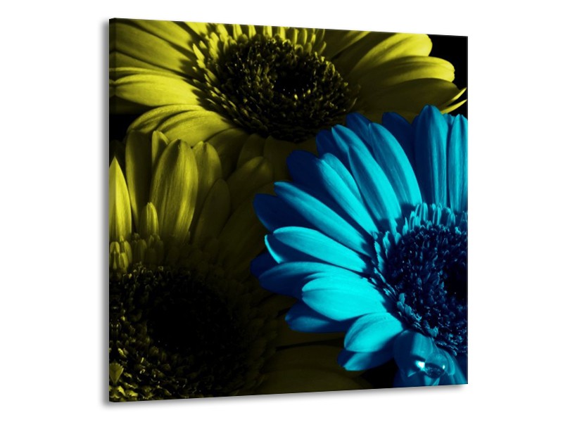 Canvas schilderij Bloem | Blauw, Zwart, Groen | 70x70cm 1Luik