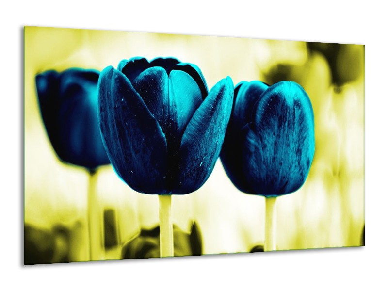 Canvas schilderij Tulp | Blauw, Zwart, Groen | 120x70cm 1Luik