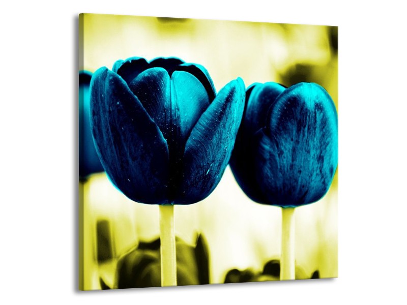 Canvas schilderij Tulp | Blauw, Zwart, Groen | 70x70cm 1Luik