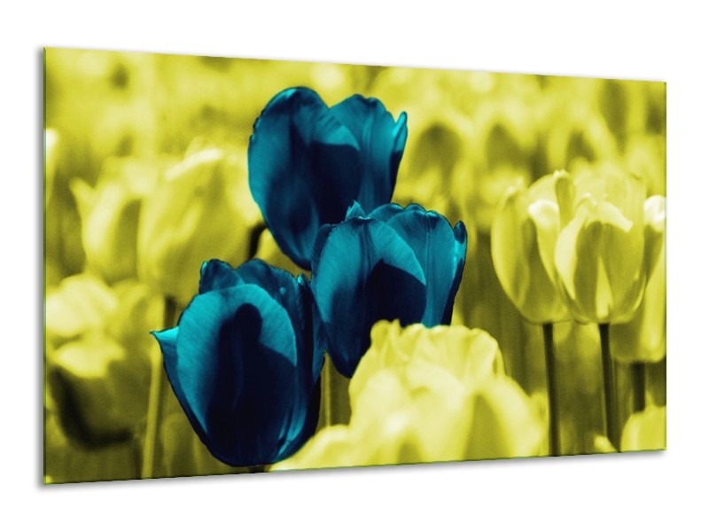 Canvas schilderij Tulp | Blauw, Zwart, Groen | 120x70cm 1Luik