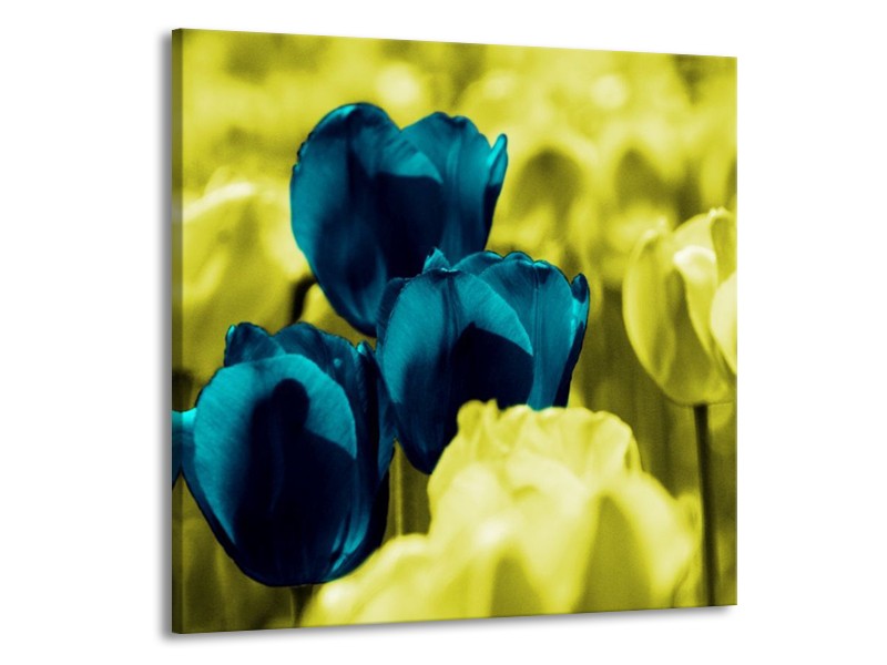 Canvas schilderij Tulp | Blauw, Zwart, Groen | 70x70cm 1Luik