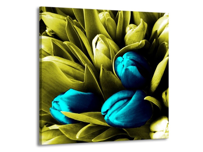 Canvas schilderij Tulp | Blauw, Zwart, Groen | 70x70cm 1Luik