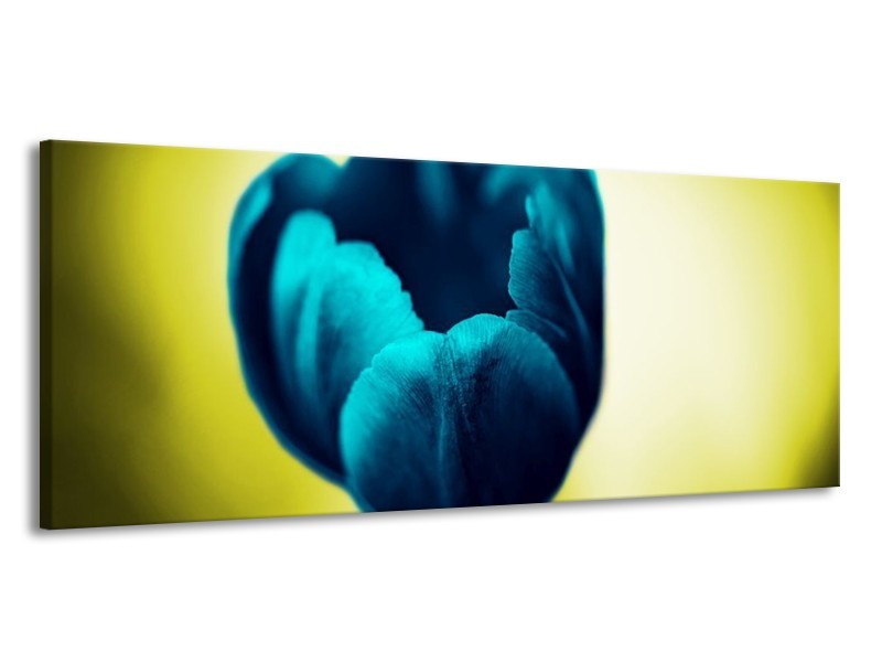 Canvas schilderij Tulp | Blauw, Zwart, Groen | 145x58cm 1Luik