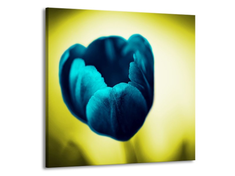 Canvas schilderij Tulp | Blauw, Zwart, Groen | 70x70cm 1Luik