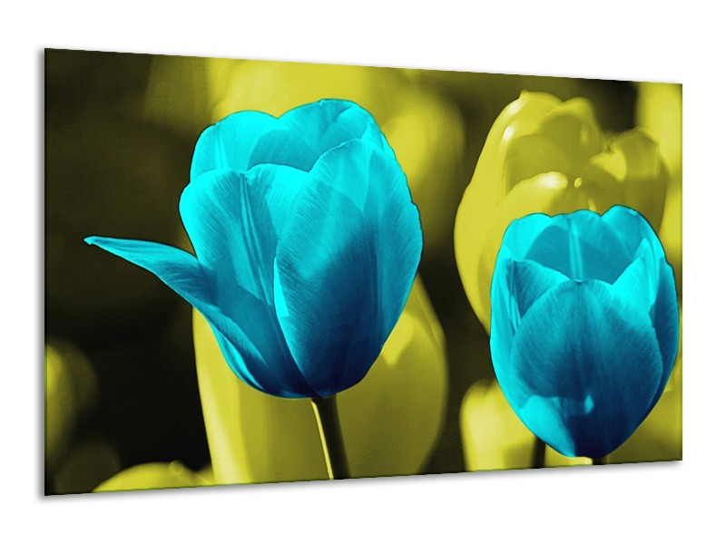 Canvas schilderij Tulp | Blauw, Zwart, Groen | 120x70cm 1Luik