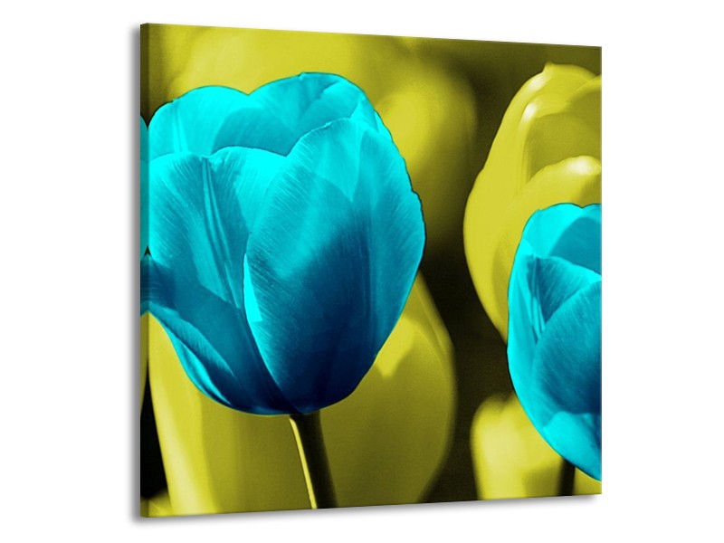Canvas schilderij Tulp | Blauw, Zwart, Groen | 70x70cm 1Luik