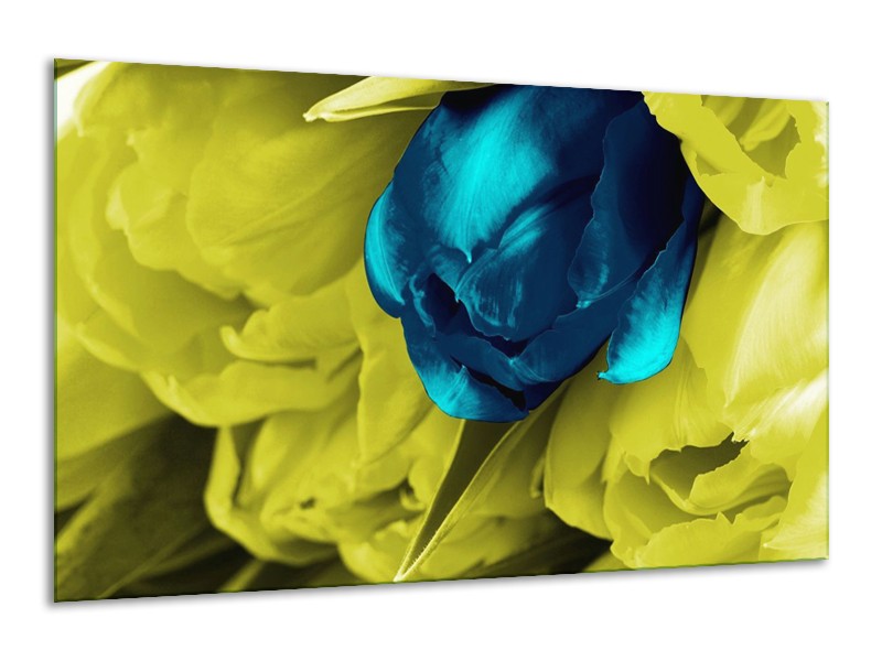Canvas schilderij Tulp | Blauw, Zwart, Groen | 120x70cm 1Luik
