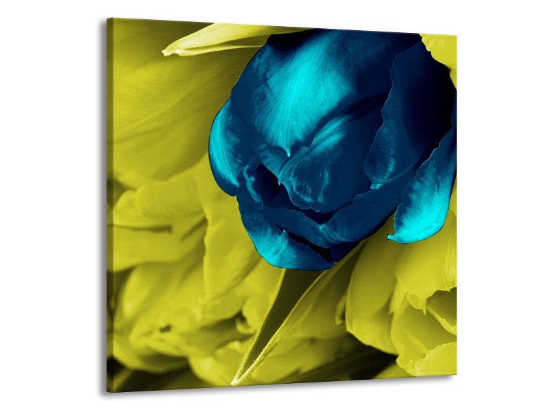 Canvas schilderij Tulp | Blauw, Zwart, Groen | 70x70cm 1Luik