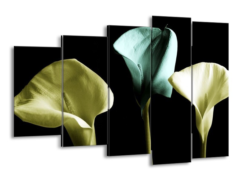 Canvas schilderij Bloem | Blauw, Zwart, Groen | 150x100cm 5Luik