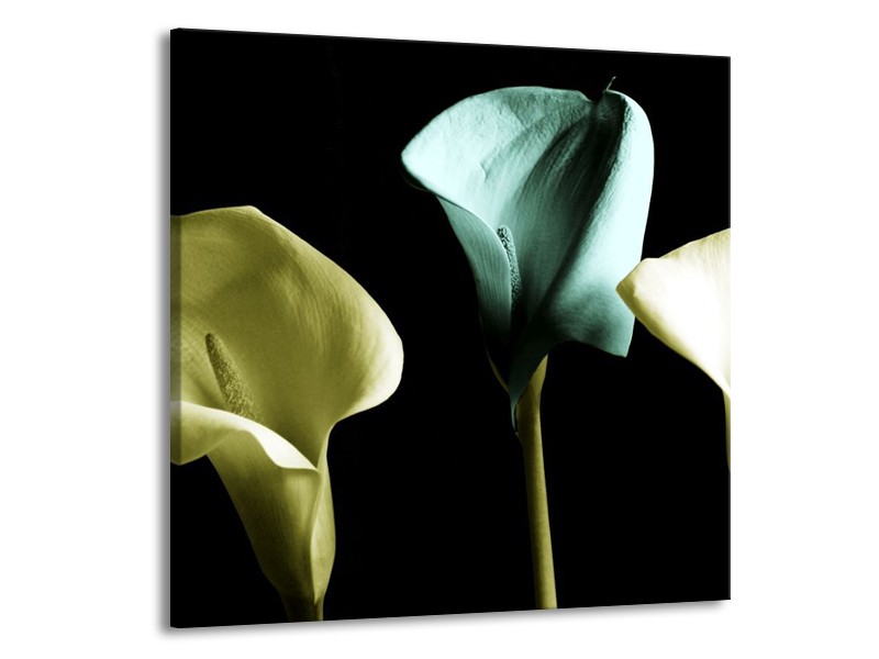Canvas schilderij Bloem | Blauw, Zwart, Groen | 70x70cm 1Luik