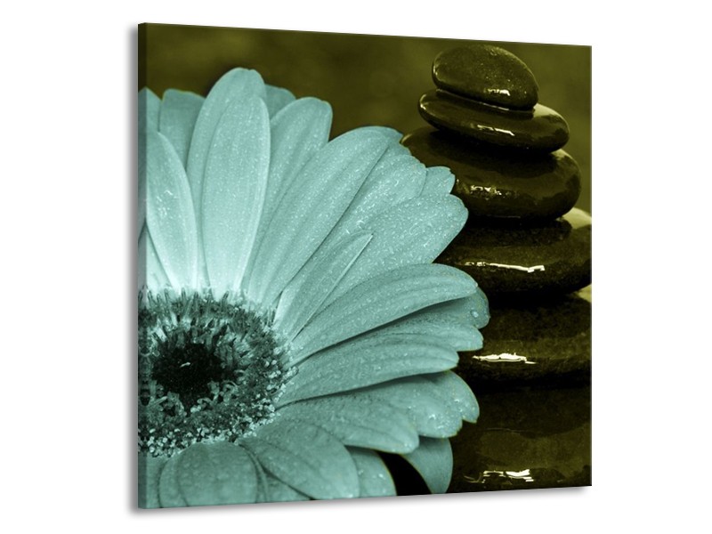 Canvas schilderij Bloem | Blauw, Zwart, Groen | 70x70cm 1Luik