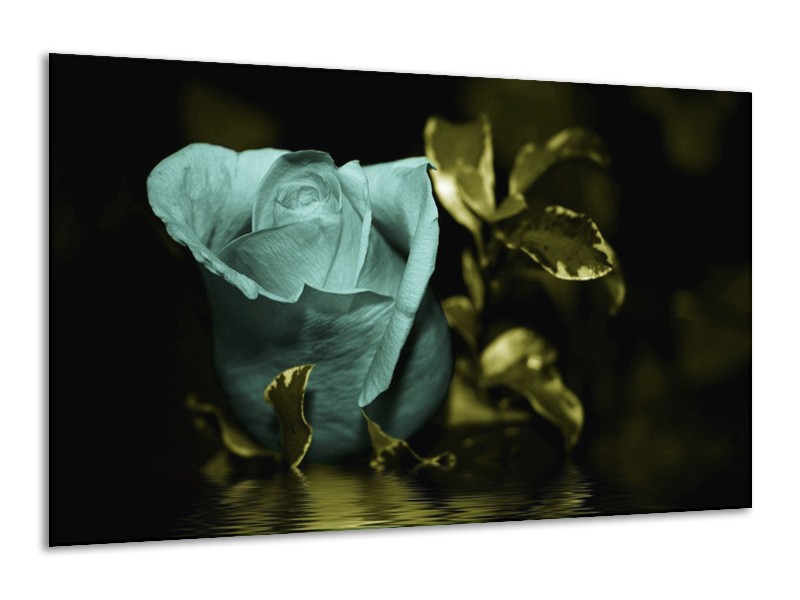 Canvas schilderij Roos | Blauw, Zwart, Groen | 120x70cm 1Luik