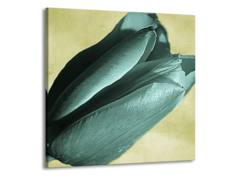 Canvas schilderij Tulp | Blauw, Zwart, Groen | 70x70cm 1Luik