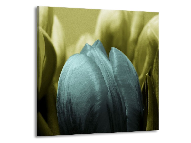 Canvas schilderij Tulp | Blauw, Zwart, Groen | 70x70cm 1Luik