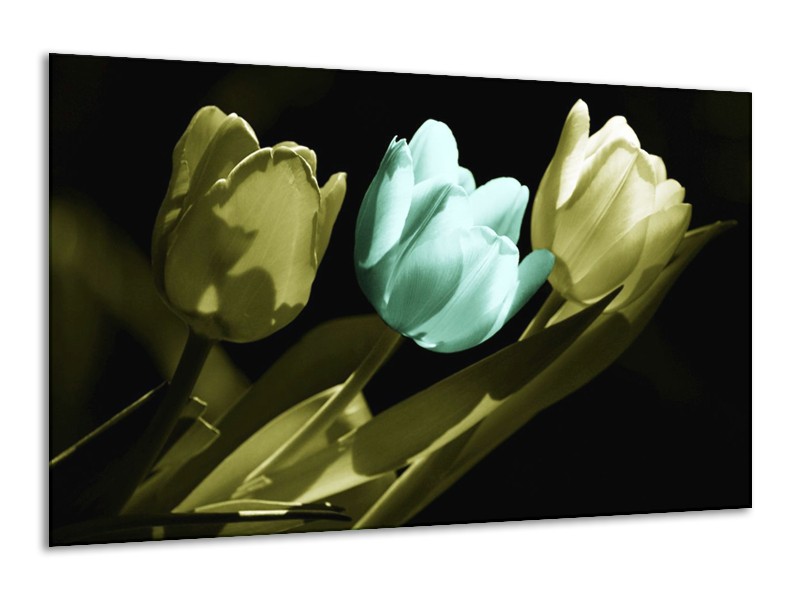 Canvas schilderij Tulp | Blauw, Zwart, Groen | 120x70cm 1Luik