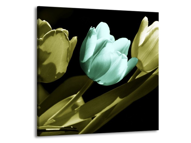 Canvas schilderij Tulp | Blauw, Zwart, Groen | 70x70cm 1Luik