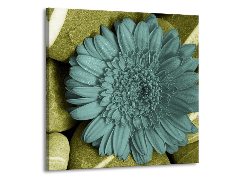 Canvas schilderij Bloem | Blauw, Zwart, Groen | 70x70cm 1Luik