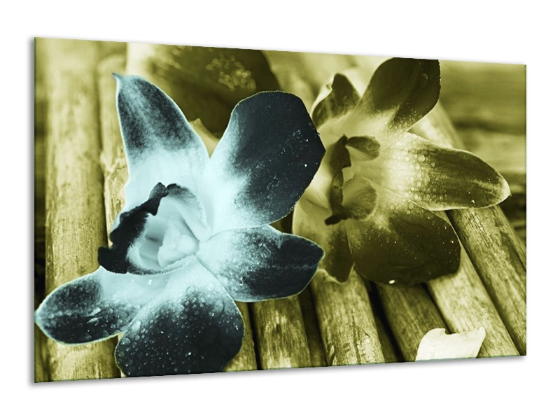 Canvas schilderij Bloem | Blauw, Zwart, Groen | 120x70cm 1Luik