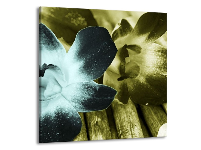 Canvas schilderij Bloem | Blauw, Zwart, Groen | 70x70cm 1Luik