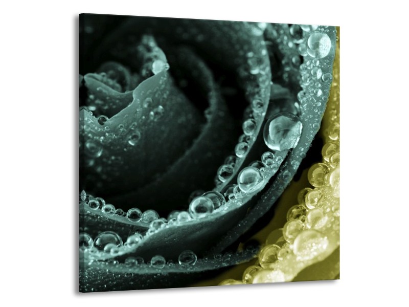 Canvas schilderij Roos | Blauw, Groen | 70x70cm 1Luik
