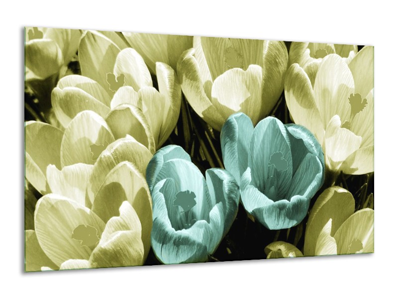 Canvas schilderij Krokus | Blauw, Zwart, Groen | 120x70cm 1Luik