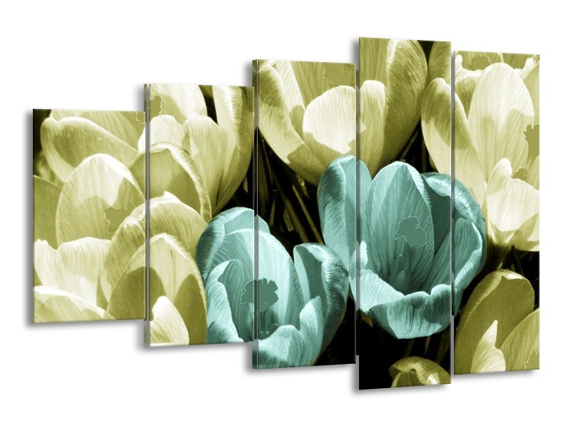 Canvas schilderij Krokus | Blauw, Zwart, Groen | 150x100cm 5Luik