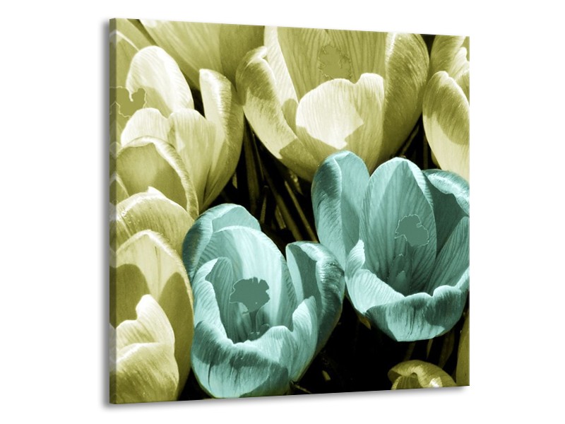 Canvas schilderij Krokus | Blauw, Zwart, Groen | 70x70cm 1Luik