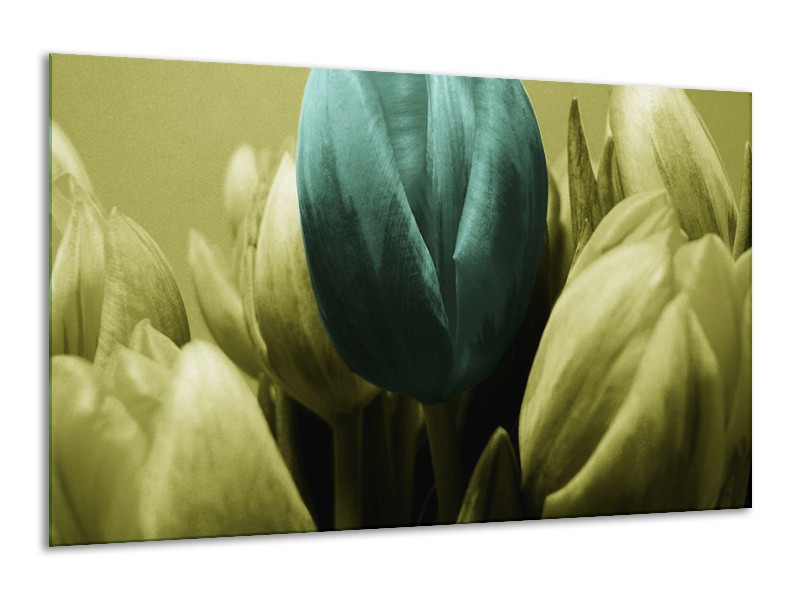 Canvas schilderij Tulp | Blauw, Zwart, Groen | 120x70cm 1Luik