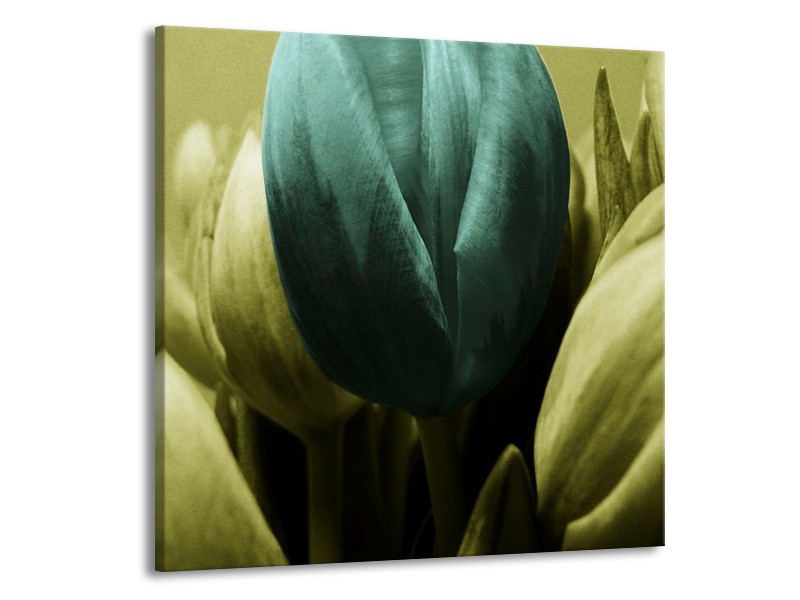 Canvas schilderij Tulp | Blauw, Zwart, Groen | 70x70cm 1Luik
