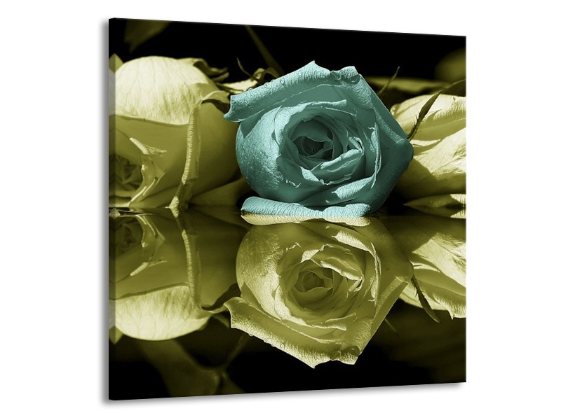 Canvas schilderij Roos | Blauw, Zwart, Groen | 70x70cm 1Luik