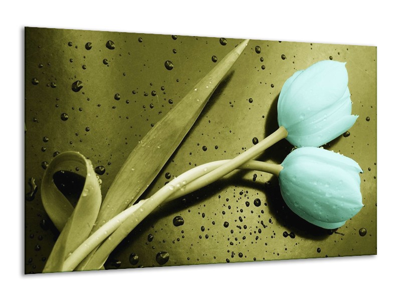 Canvas schilderij Tulp | Blauw, Zwart, Groen | 120x70cm 1Luik