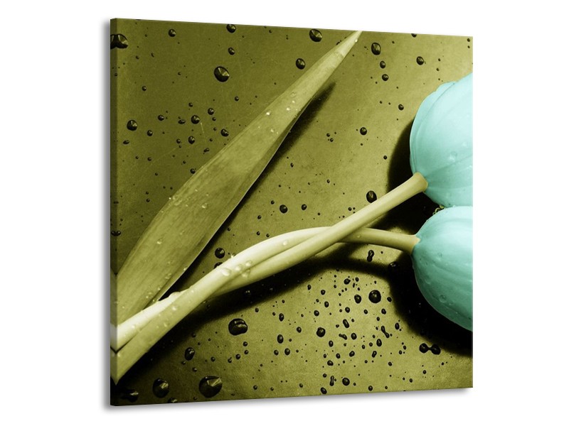 Canvas schilderij Tulp | Blauw, Zwart, Groen | 70x70cm 1Luik