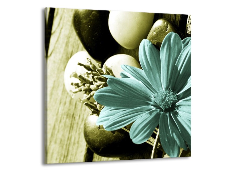 Canvas schilderij Bloem | Blauw, Zwart, Groen | 70x70cm 1Luik