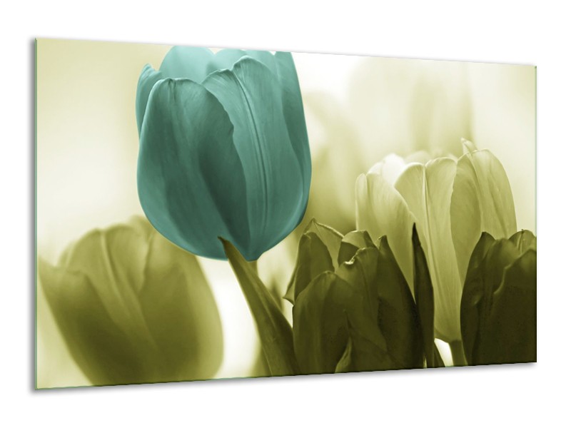 Canvas schilderij Tulp | Blauw, Zwart, Groen | 120x70cm 1Luik