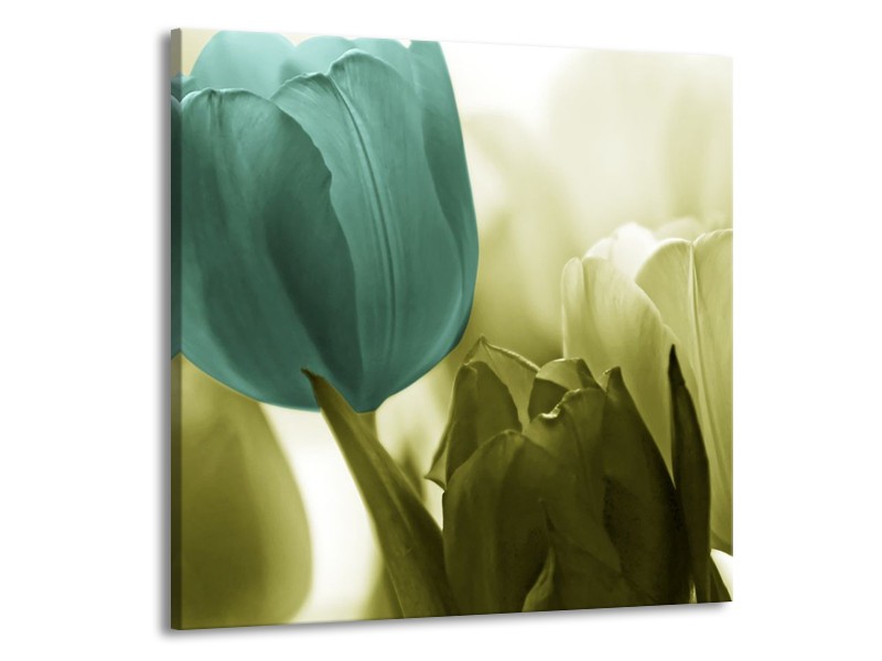 Canvas schilderij Tulp | Blauw, Zwart, Groen | 70x70cm 1Luik