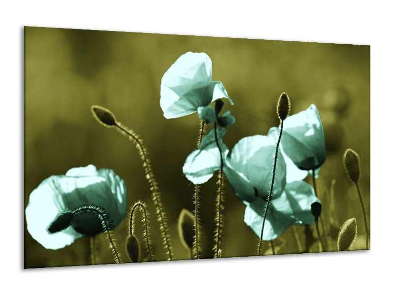Canvas schilderij Klaproos | Blauw, Zwart, Groen | 120x70cm 1Luik