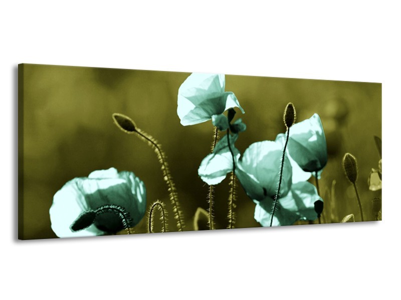 Canvas schilderij Klaproos | Blauw, Zwart, Groen | 145x58cm 1Luik