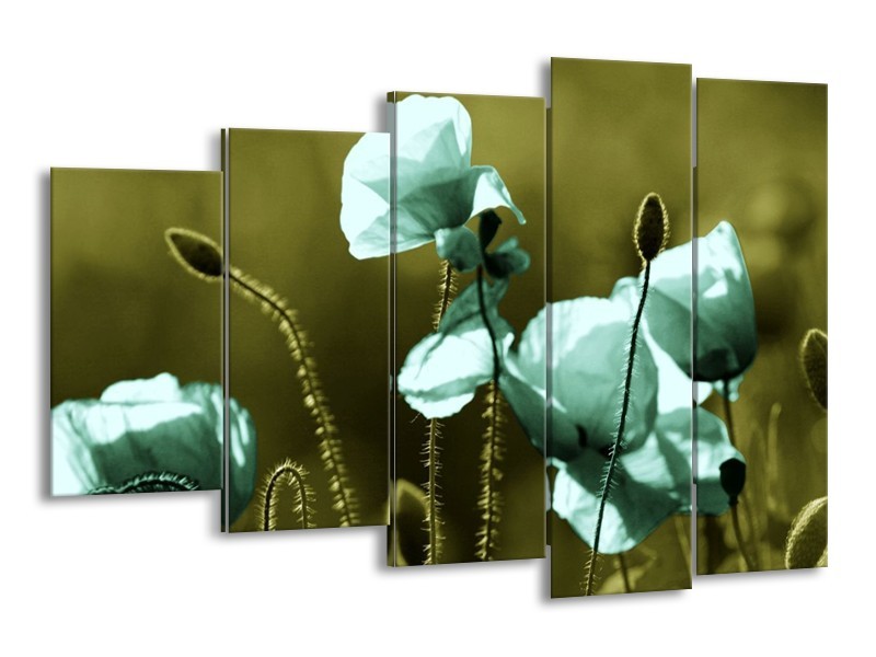 Canvas schilderij Klaproos | Blauw, Zwart, Groen | 150x100cm 5Luik