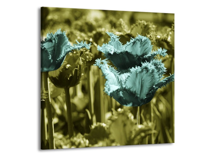 Canvas schilderij Tulp | Blauw, Zwart, Groen | 70x70cm 1Luik