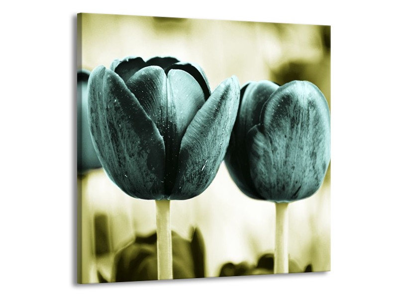 Canvas schilderij Tulp | Blauw, Zwart, Groen | 70x70cm 1Luik