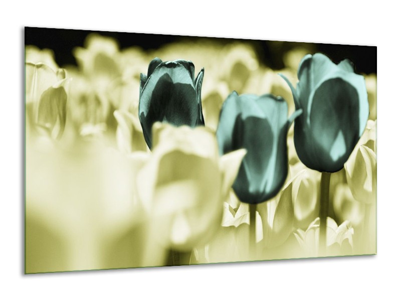 Canvas schilderij Tulp | Blauw, Zwart, Groen | 120x70cm 1Luik